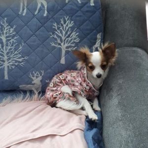 Meet your Posher, Julie